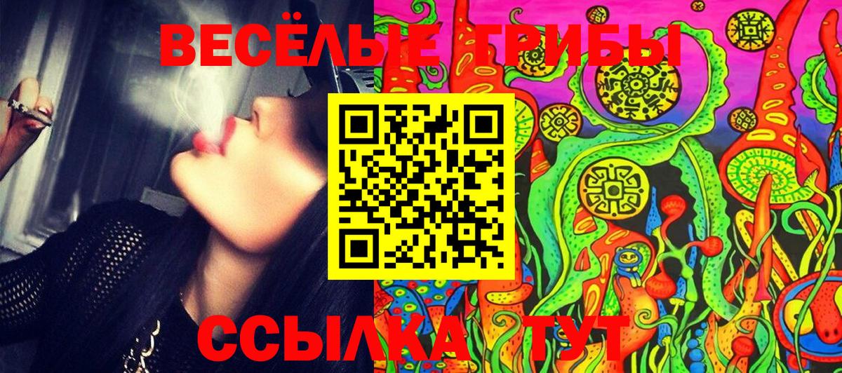 Галлюциногенные грибы Psilocybe Михайловск